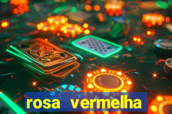 rosa vermelha (letra e cifra)